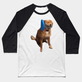 Frisbee Dog 2 Baseball T-Shirt